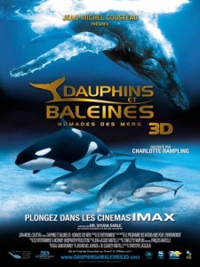 dauphins-et-baleines-affiche1
