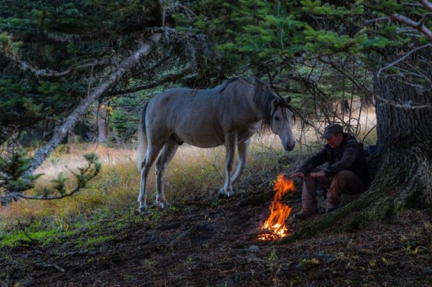 Critique La Vall E Des Loups Jean Michel Bertrand L Homme Qui Se