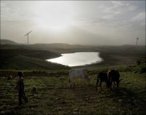 Pascal Maitre, Ferme éolienne d'Ashegoda. Série « Quand l’Afrique s’éclairera » © Pascal Maitre/Cosmos