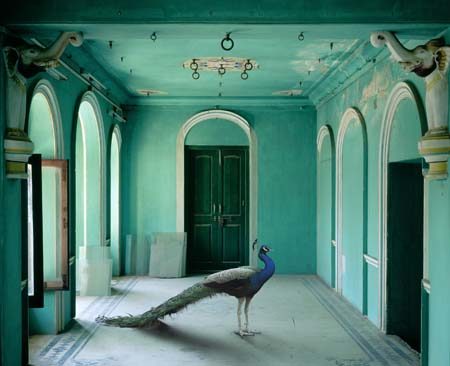 Transmigrations : India Song et Villa Savoye, par Karen Knorr.