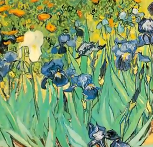 Après le cas Vinci, une nature morte attribuée à Van Gogh aux Pays Bas