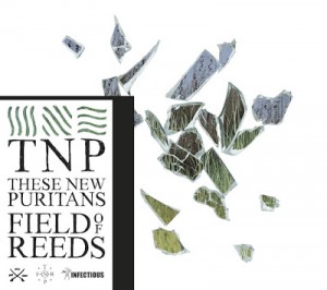 Field of Reeds de These New Puritans
