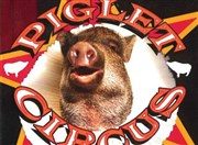 Piglet Circus présente Ahora o Nunca