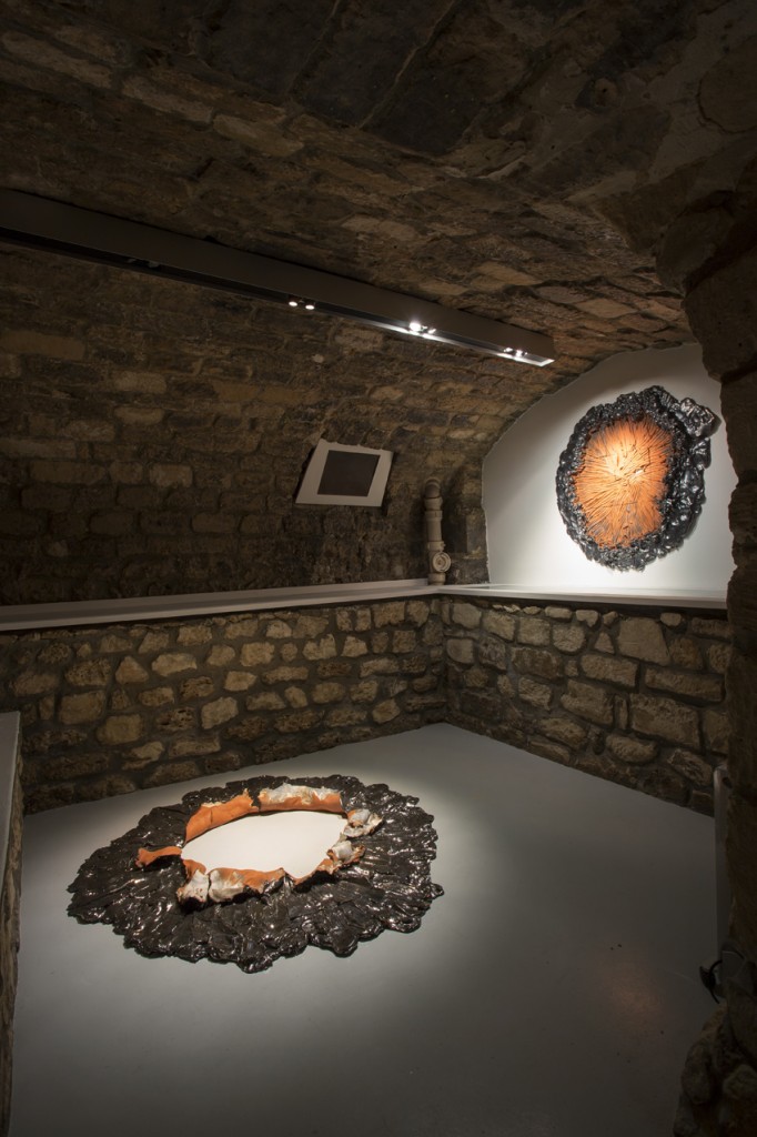 Brie Ruais à la galerie Lefebvre et Fils à Paris
