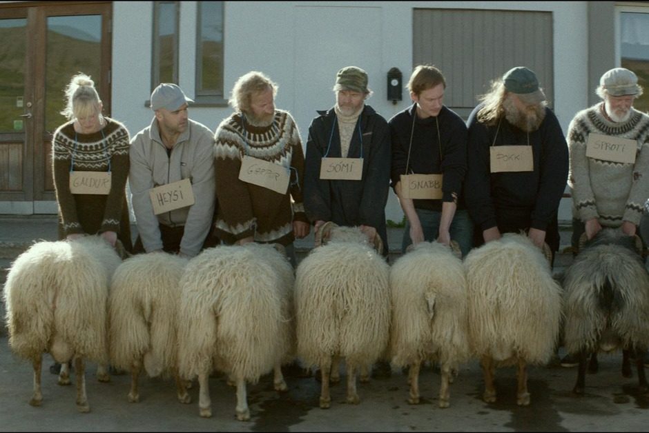 [Un Certain Regard] « Béliers » : belle et cruelle histoire de moutons islandais