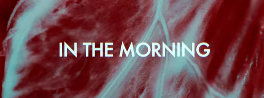 [Toute La Culture du clip] ZHU – In the Morning
