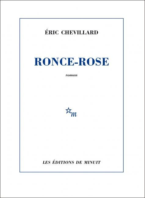 Eric Chevillard et la fiction oblique
