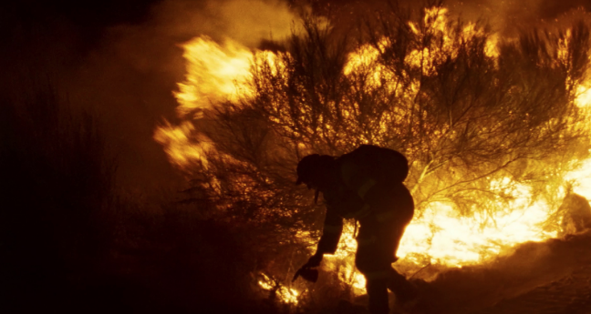 “Viendra le feu d’Oliver Laxe” : Portrait d’une forêt en feu