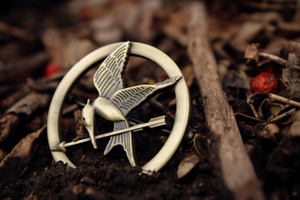 Un préquel à Hunger Games en cours ?