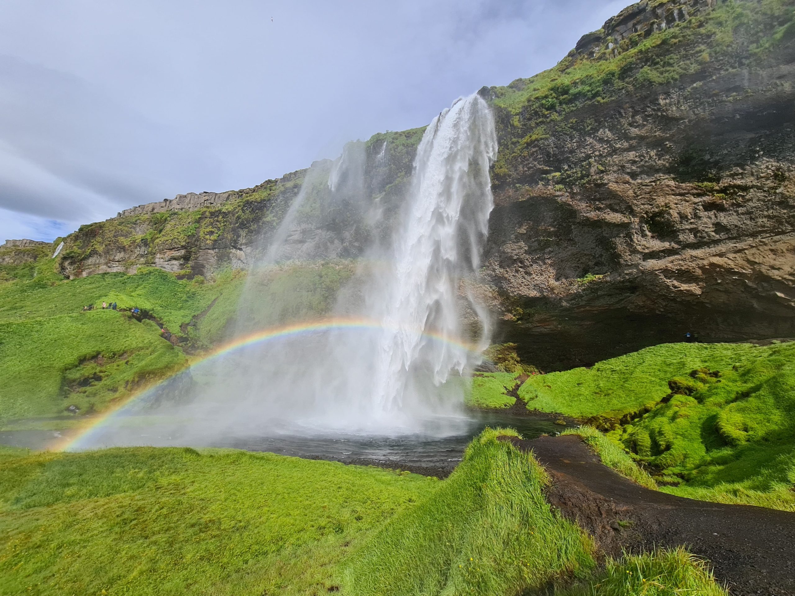 voyage en islande covid