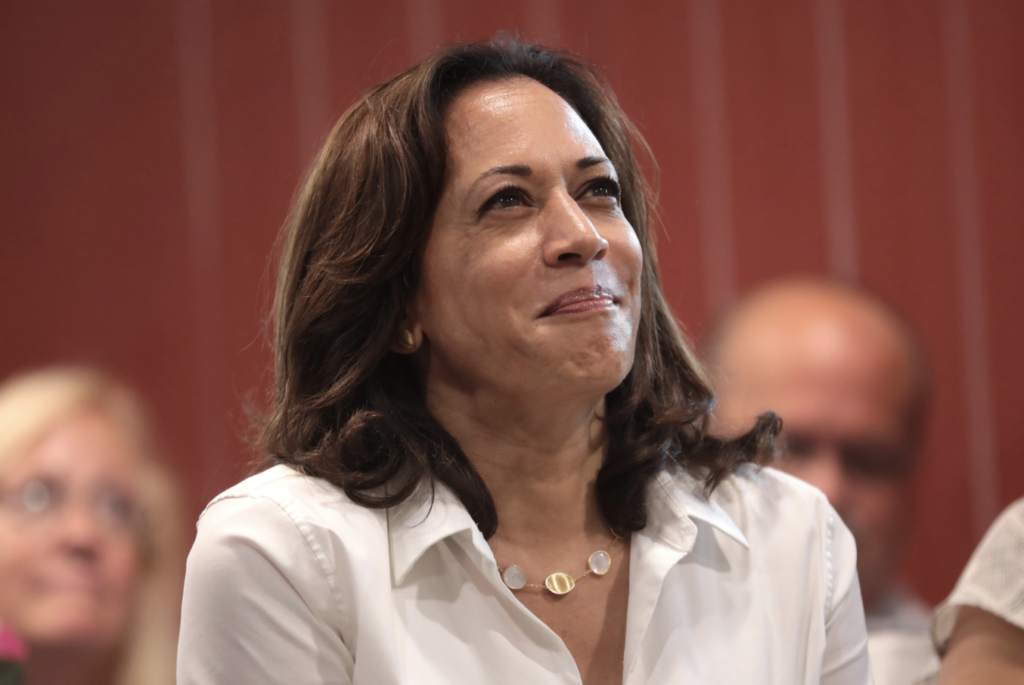 Vague de soutien pour Kamala Harris, idole des stars