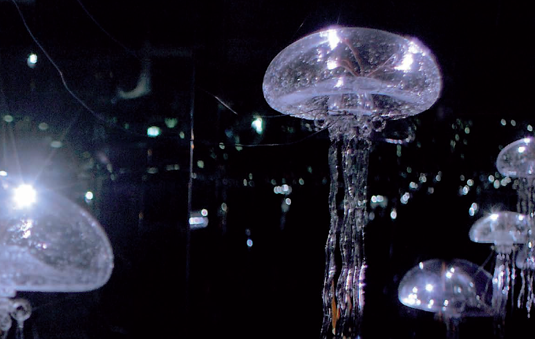 Exposition « Les territoires de l’eau » : un univers artistique enivrant entre mer, ciel et terre
