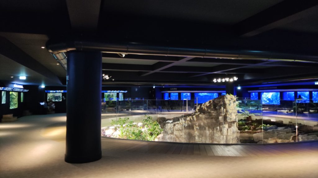 Plongez yeux écarquillés dans le tout nouvel Aquarium Tropical de Paris