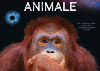 "Le grand livre de l'intelligence animale" par la chercheuse Jessica Serra