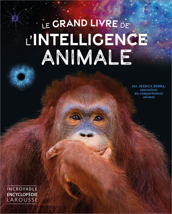 « Le grand livre de l’intelligence animale » par la chercheuse Jessica Serra