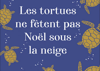 "Les tortues ne fêtent pas Noel sous la neige" par Sophie Jomain