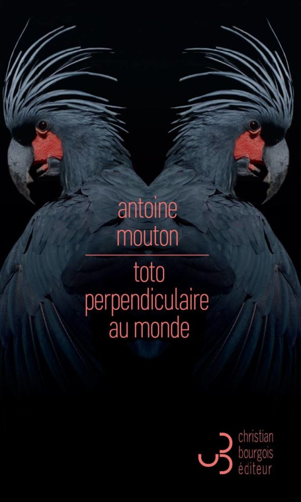 « Toto perpendiculaire au monde » et « Les Chevals morts » d’Antoine Mouton : Un couloir infini et une séparation