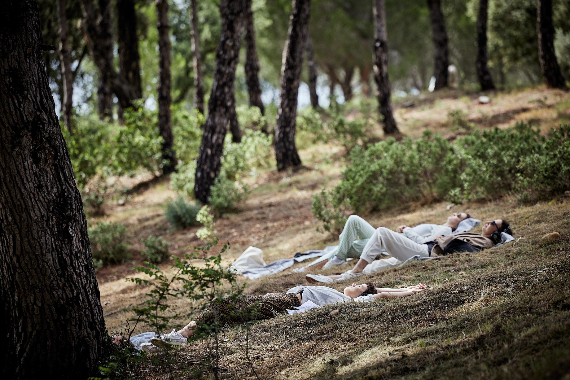 « Paysages partagés », la mise au vert de Caroline Barneaud et Stefan Kaegi au Festival d’Avignon.