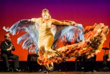 6ème festival Larachi Flamenca : la jeune génération flamenco se donne rendez-vous en novembre à la Maison des cultures du monde