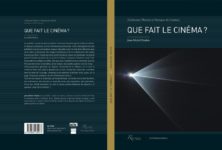“Que fait le cinéma?”, organisés en collection, les articles de Jean-Michel Frodon posent la question