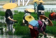 « Terres de riz », aux racines des cultures d’Asie