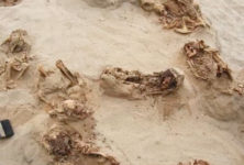 Pérou : des corps d’enfants sacrifiés découverts sur un site archéologique du nord du pays