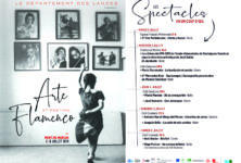 Gagnez 20×1 livre « Arte Flamenco, 30 ans de ferveur »