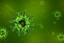 Coronavirus’s worldwide effect on culture