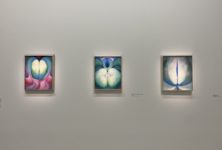 Fleurs, os, cosmos, et couleurs : Georgia O’Keeffe à Pompidou