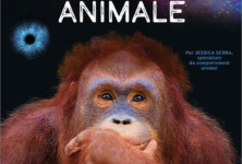 “Le grand livre de l’intelligence animale” par la chercheuse Jessica Serra