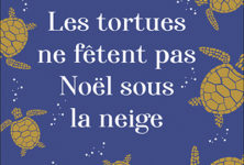 « Les tortues ne fêtent pas Noël sous la neige » par Sophie Jomain
