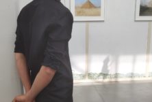 Visite de groupe, l’expo dont vous êtes l’objet au MAIF Social Club
