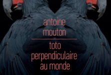 « Toto perpendiculaire au monde » d’Antoine Mouton : Couloir 133, adresse inconnue