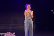 Maringouin, Romane Brandeis : chronique d’une enfance traversée par l’anxiété  !